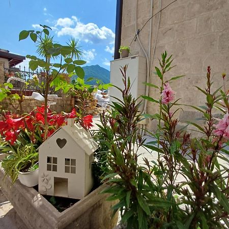 Apartments Visit Пераст Екстериор снимка